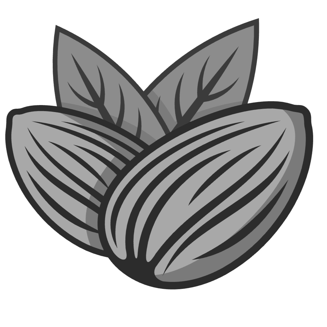 خشکبار و آجیل سنتی